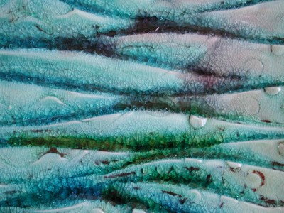 Alkaline Platter 1 - Closeup