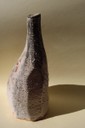 Shino Bottle 2