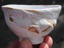 Sake Cup Shino Reduced