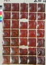 Iron/Bone Ash Red Set