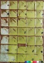 LAYellow^10R1200px.JPG