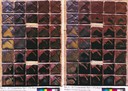 Temperature Comparison