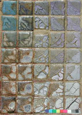Lichen^6ox1200px.JPG