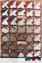 1_0.7LCn12R_Dark1200px.jpg